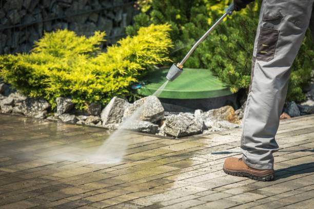 Best Warehouse Cleaning  in Fannett, TX