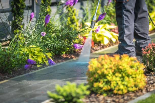 Best Gutter Cleaning  in Fannett, TX