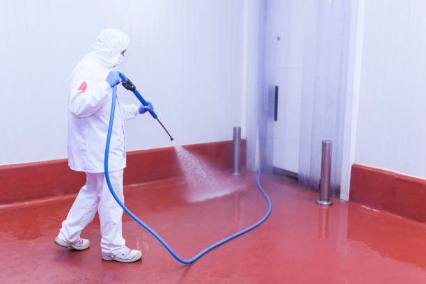 Best Dumpster Area Cleaning  in Fannett, TX