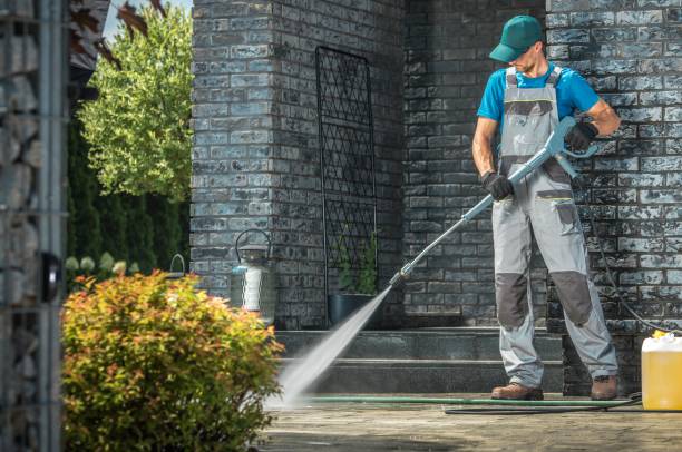 Best Roof Washing  in Fannett, TX